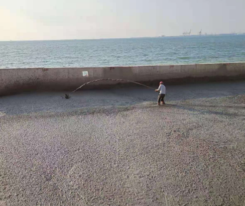 海南?；◢u